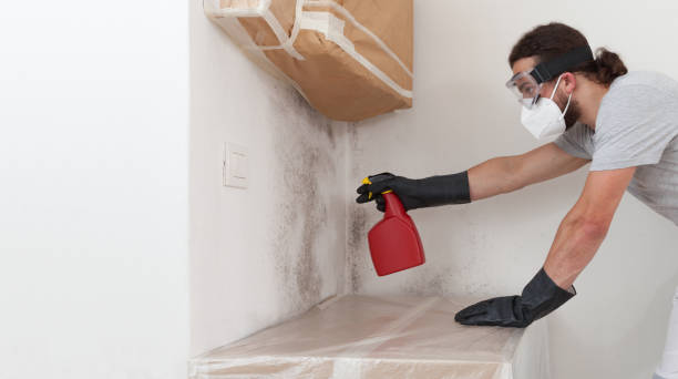 Professional Mold Removal technician working in Churchton, MD